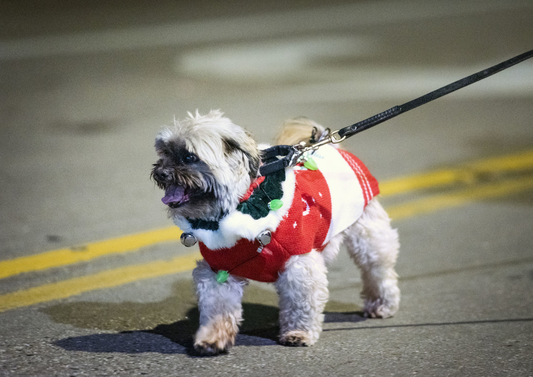 191208_JINGLE10